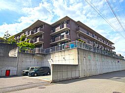 新柏ガーデニア東の街弐番館 204