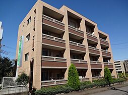 アヴィオラ 102
