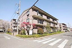 ベルドミール弐番館 203