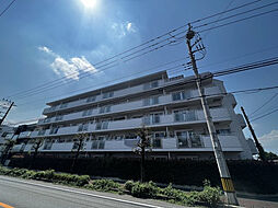 コスモ志木ホワイトコート 401