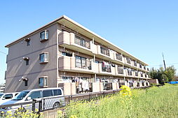 エクセレンス 207