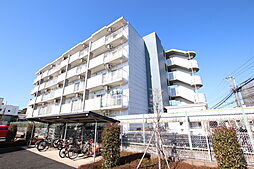 ＴＷＩＮ　ＬＥＡＶＥＳ　ＥＡＳＴ 505