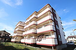 ハイムマルベリー 302