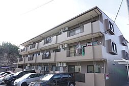 ブエナビスタ米ヶ袋 305