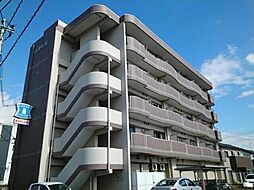 高染IX館 205