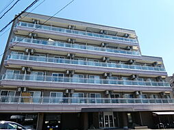 アクシスオオスミ 503