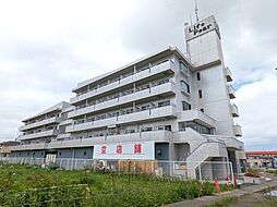 ライフピアー 410