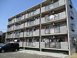 ティルオベロン 303