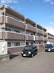 ライフマンションＢ棟 305