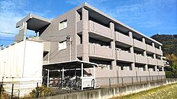 グランストークカメリア 306