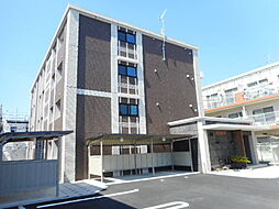 コンフォルタ 203