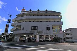 松山市鷹子町