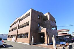 ｆｏｒｔｉａＹ＆Ｙ 203