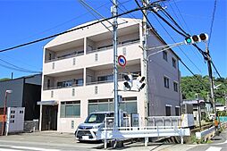 シュシュ・ミニヨン 302