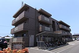 ブライムサンライト 101