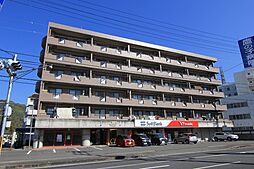 Ｆａｌｃｏ　ｂａｍｂｉｎｏ 207