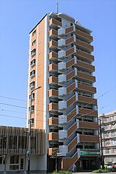 ドルーク道後南町 903