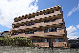 ＰＲＩＭＡ・ＶＥＲＡＶ 103