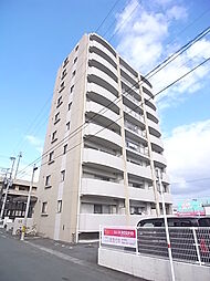 クオリア花立 302