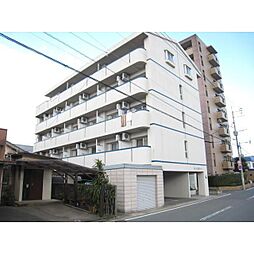 ヴイエスポワール 303