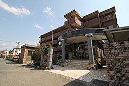 アネシス・ローゼ 305