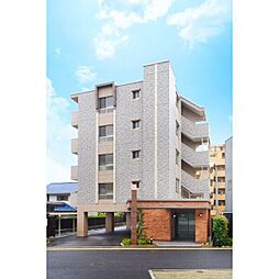 ビューラー野多目 303