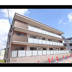 プルヌス コリーヌ 201