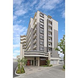 ステラＳＴIII 305