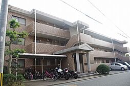 アンシャンテ都府楼 302
