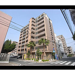 ラヴィ　ヌーヴォ 501