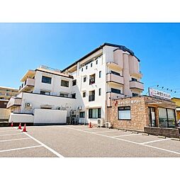 ハンリーラ円入 303