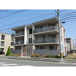 マテリアールＡ 301