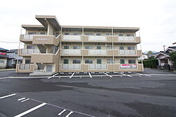 ＯＨＡＮＡ　ｓ 305