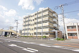 サングリーム 203