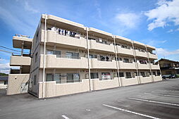 ユーミー・丸山 106