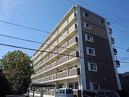 エルモソ　ピソ 305