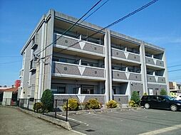 スプリングウィンドII 201