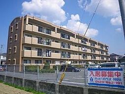 アムールＴＯＭＯＩＫＥ 102