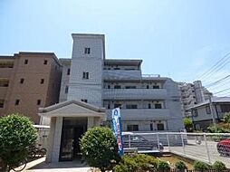 ピュア生の松原 203