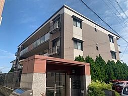 ステラリーバ 201