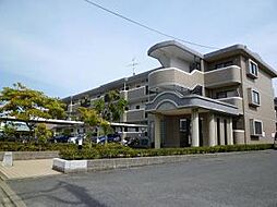シェルコーポＭ・Ｎ1 303