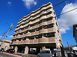 エヴァーグリーンＭ 508