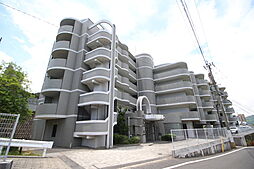 ヒルサイド守恒 506