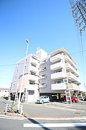 メゾンピザピノ 501