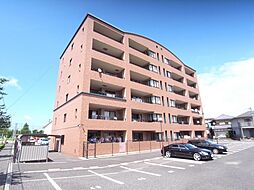 ガーデンブルグ守恒 202