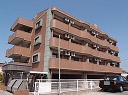 メゾン・カメリア 205