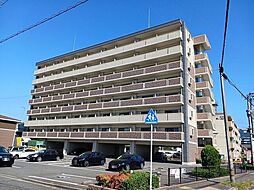 エヴァーグリーンＮ 717