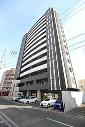 フェルト1113 301