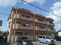 サニーオオタ 101