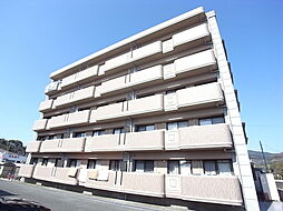 レスポワール島崎 102